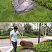 塑石装饰井盖