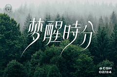 多多洛^^采集到字体设计