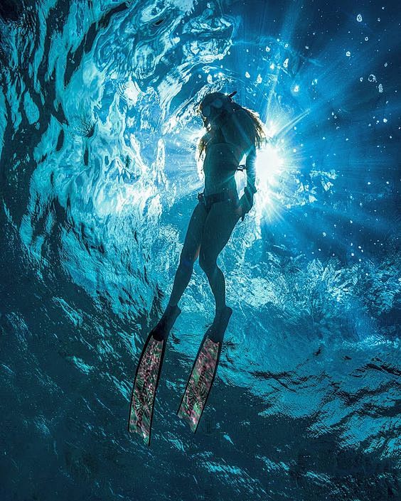 “蓝色巨人”：令人惊叹的水下摄影和自由潜...