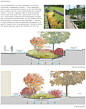 Bioswale concept diagrams // Diagrams by others