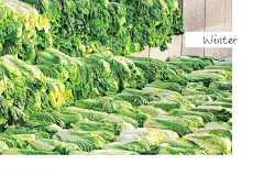 微博@一个爱设计的孩纸
白菜、风景手机电脑壁纸、淘宝装修设计、标志、企业形象、海报、名片、宠物摄影及后期修图制作等平面设计 #Logo# #素材# #包装# #色彩# #经典#