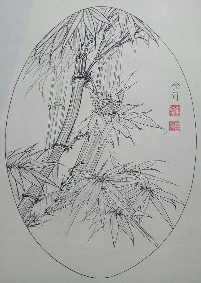 钢笔花卉白描达人叶志军先生的钢笔画分享-花瓣网