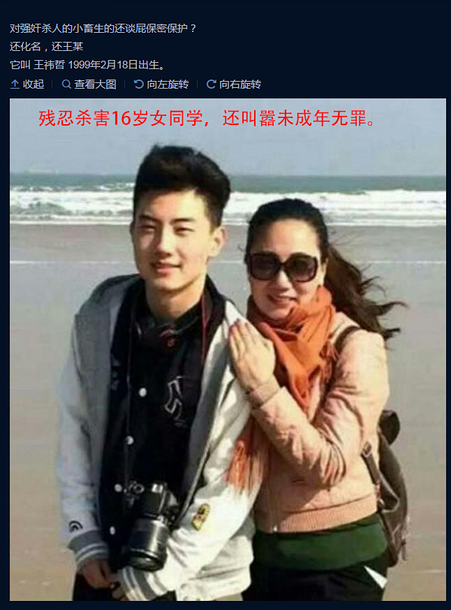 王祎哲母亲名吕红霞名下公司为北京海琳娜商贸有限公司工商注册号