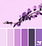 Design Seeds : Design Seeds color palettes ... posted daily for all who love color.