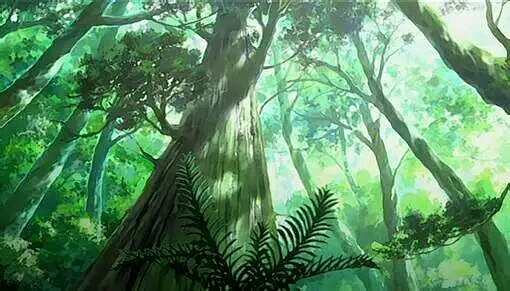 二次元风景插画茁壮的老树神秘森林