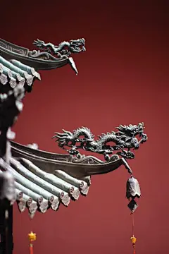 采集图片
