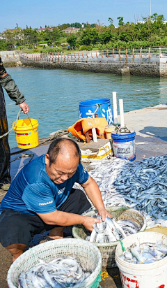 在河之洲i采集到海鲜