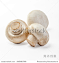 champignon mushroom on white background
