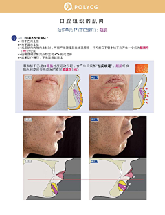 木丙采集到表情