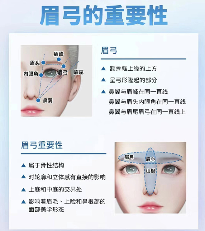 眉弓