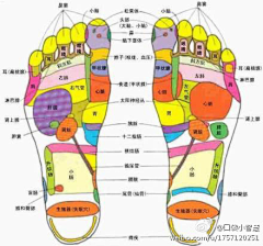 榆城古風采集到健康保健