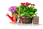 Gardener – Just another WordPress site