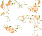 花边框