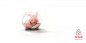 Pig | 爱彼迎 | Airbnb | 腾迈 | TBWA
