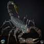 Atlas: Scorpion