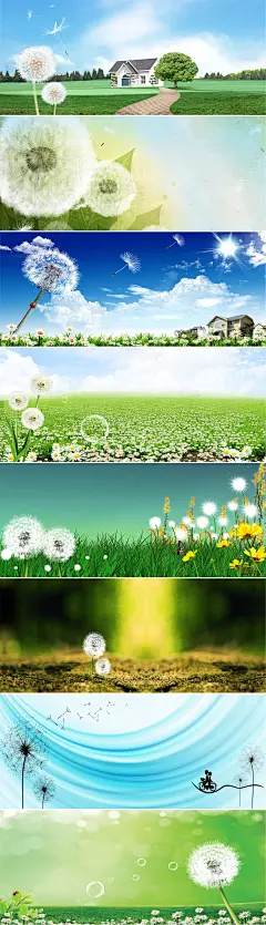 绿色环保节能白色唯美蒲公英海报背景模板