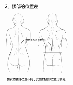 三吾三采集到插画》人体线稿