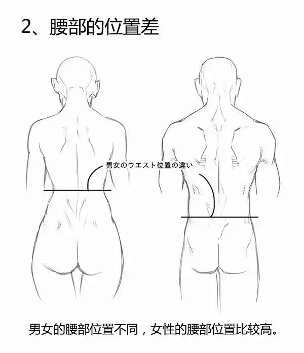 【绘画教程】男女背部的差异画法（人体练习...