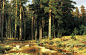 希施金—俄国风景画大师
 造船木材森林 又名大松树林 希施金 165*252公分