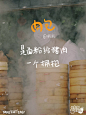@王饱饱和饱贝们 的个人主页 - 微博