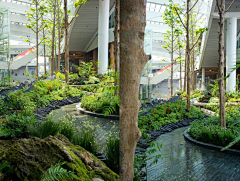 池池池池池采集到植物