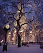 芝加哥的雪夜，浪漫而又神秘。