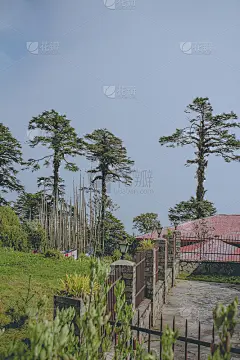 不丹多丘拉山口，从不丹的王雅尔布达拉塔看风景，108支赞美诗。