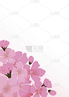 樱花花日本自然背景向量