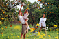 Father and daughter (5-7) picking oranges from tree