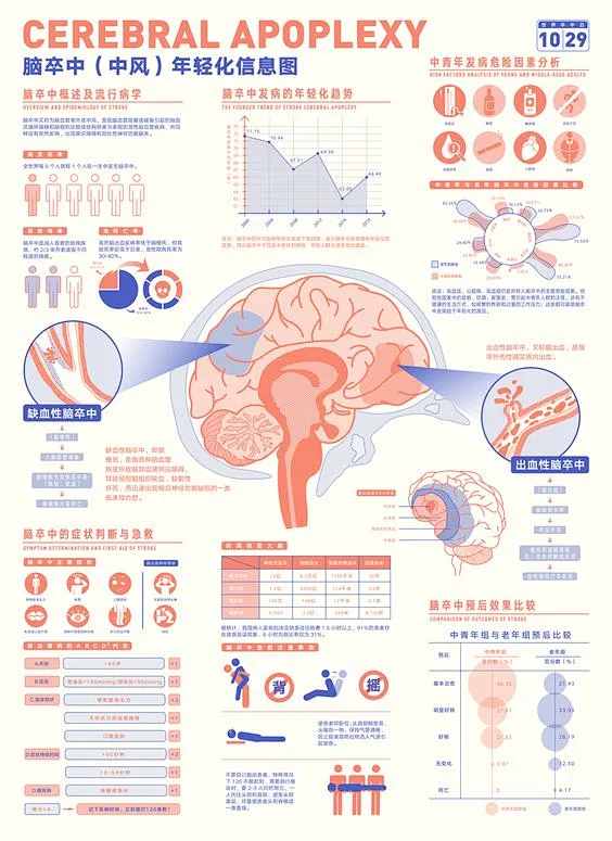 Younger Cerebral Apoplexy (Stroke)Information Diagram-花瓣网