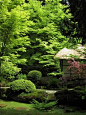 Japanese garden at Tatton, Cheshire.: 