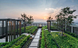 绿色城市画廊，素坤逸101号豪华公寓 / Shma Company Limited – mooool木藕设计网