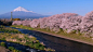 日本富士山樱花景观