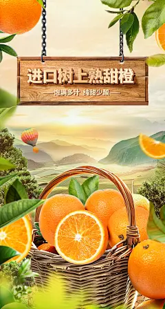 南非橙 橙子 生鲜 水果 电商视觉合成海报