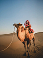 中卫旅拍｜腾格里沙漠️骆驼
