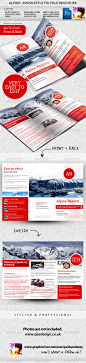 Alpine Swiss Trifold Brochure Template 冰山三折页宣传册模板-淘宝网