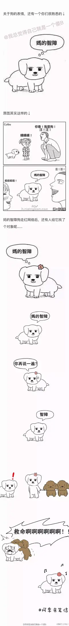 一言不合就扔狗 | 近期最火斗图表情包福利-兴趣部落
