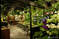 青山花店(Aoyama Flower Market)是日本有名的连锁花店，名副其实的花店咖啡店。走进花店，犹如闯进了一座秘密花园，可以边品茶边赏花。 ​​​​