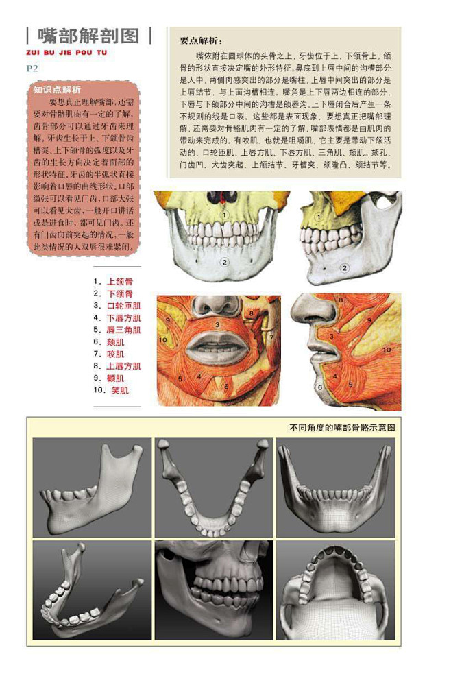 嘴巴素描图 (2)