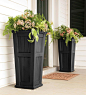 Front porch planters: 