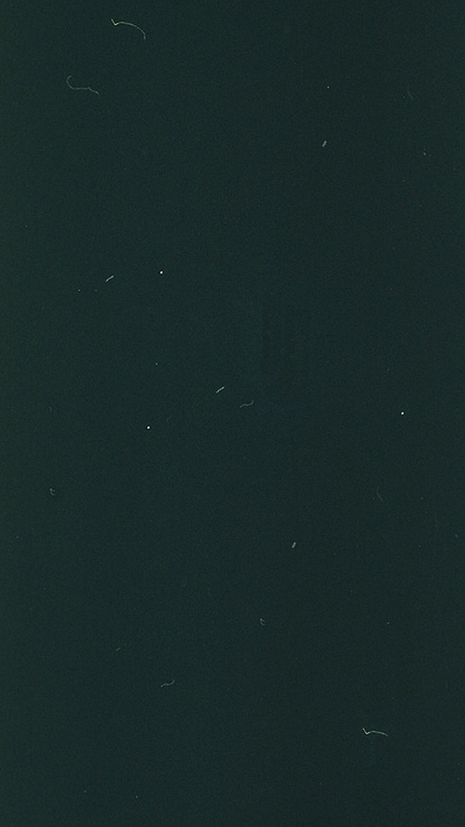 墨绿色质感H5背景_新图网 https://ixintu.com 深色 质感 纹理 墨绿 毛絮 H5背景 H5 h5