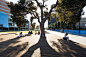 欣赏｜澳大利亚莫纳什大学考尔菲德校区景观设计 : 校园景观