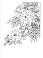 牡丹茶花菊花花卉植物线稿 SAI上色水彩手绘 绘画插画素材XD006-淘宝网