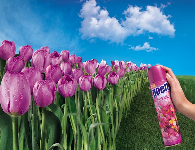 Poett: Tulips