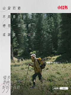 ZFang51采集到森系海报