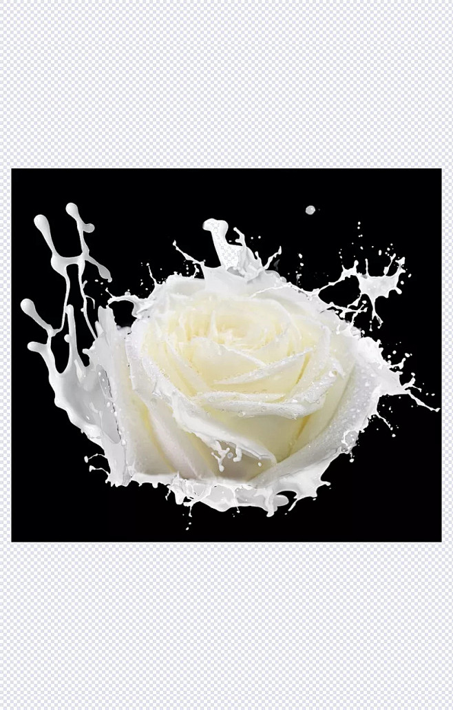 牛奶玫瑰花png 滤色模式 |牛奶,奶花...
