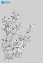 玩转古风插画——植物花卉素材大放送！（文末下载）-资讯-蓝铅笔