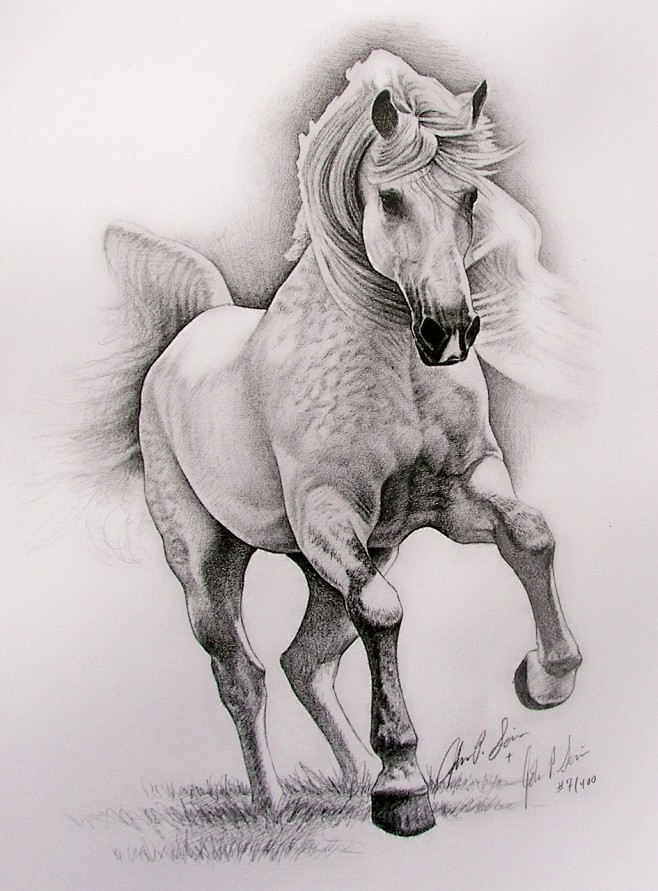 xb08100从汪wy洋转采于2018-06-13 11:25:58horse heaven万马奔腾xb