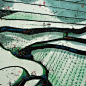 中国画家 汪鈺元（1943— ）水墨绘画 ​​​​
