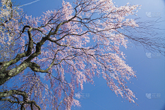 清山雪采集到光影